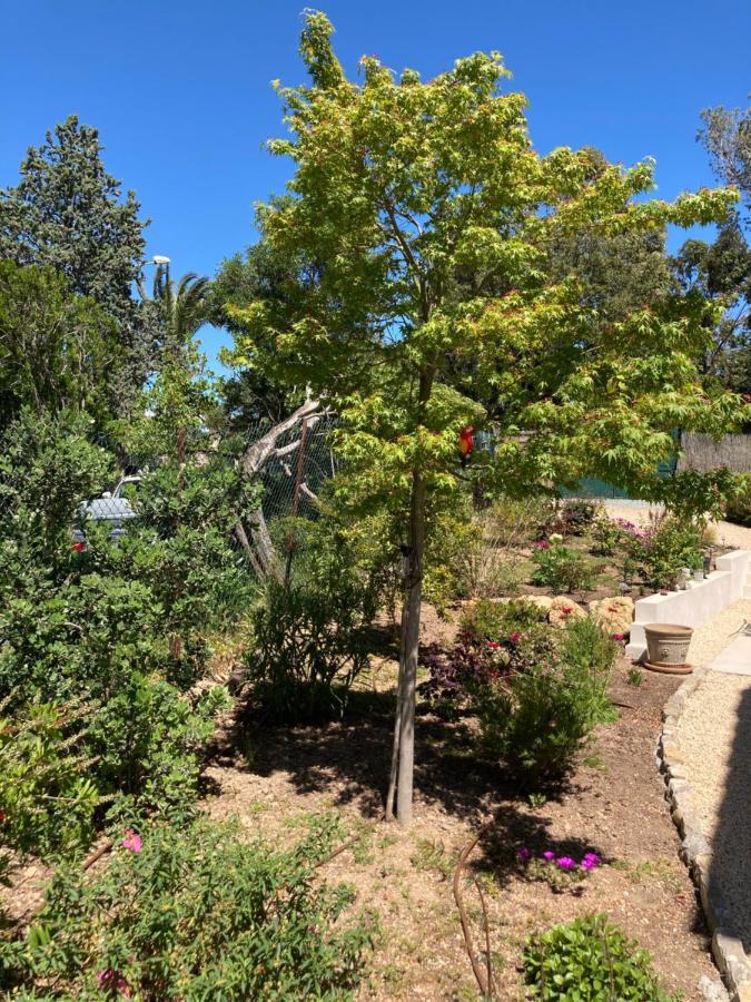 Saint-Raphaël Villa Du Belvedere - La Chambre Mer מראה חיצוני תמונה